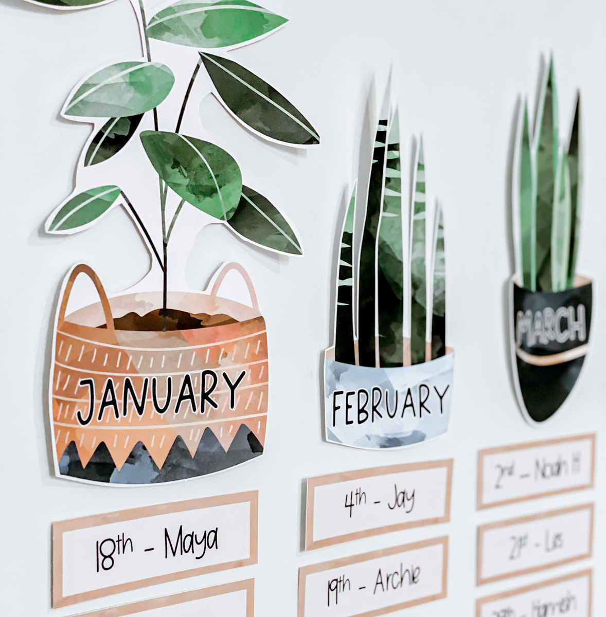 Plants Themed Classroom Decor  Miss Jacobs Little Learners