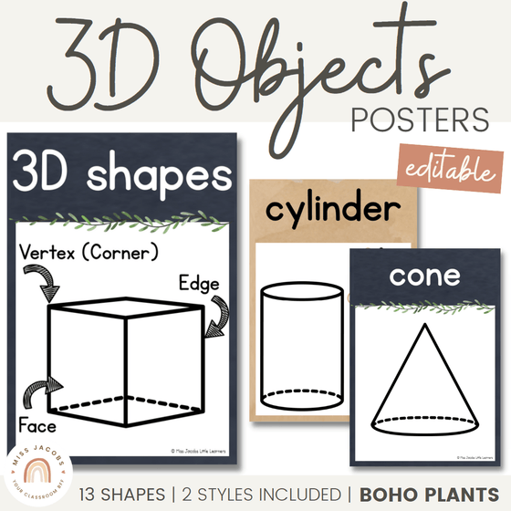 3D Objects / 3D Shapes Posters | Rustic BOHO PLANTS decor - Miss Jacobs Little Learners