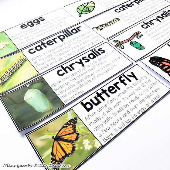 Butterflies and Caterpillars Unit - Living Things and Life Cycles - Miss Jacobs Little Learners
