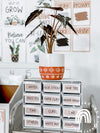 Modern Boho Plants Teacher Toolbox Labels | Editable Rustic Neutral Decor - Miss Jacobs Little Learners