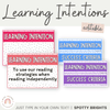 SPOTTY BRIGHTS | LEARNING INTENTIONS | EDITABLE - Miss Jacobs Little Learners