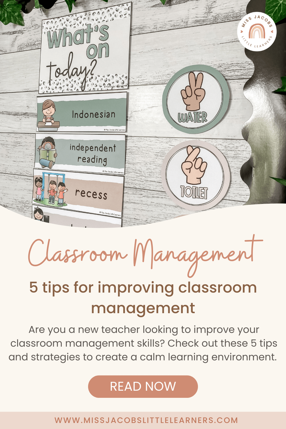 Chaos In The Classroom