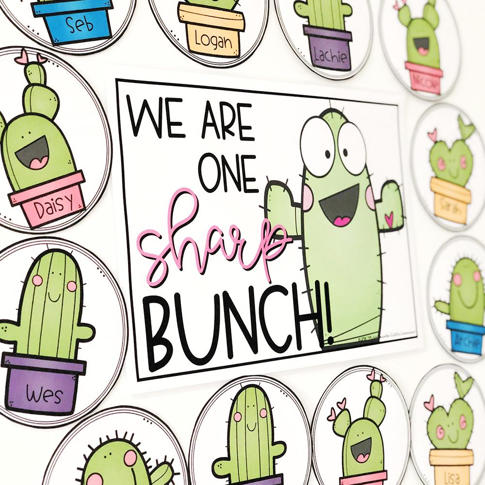  Cactus | Miss Jacobs Little Learners