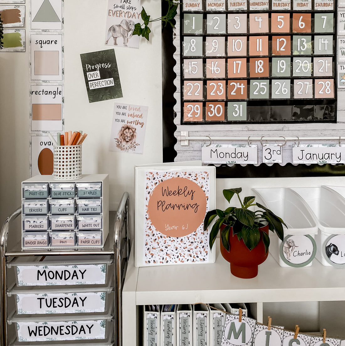  Modern Jungle - Miss Jacobs Little Learners