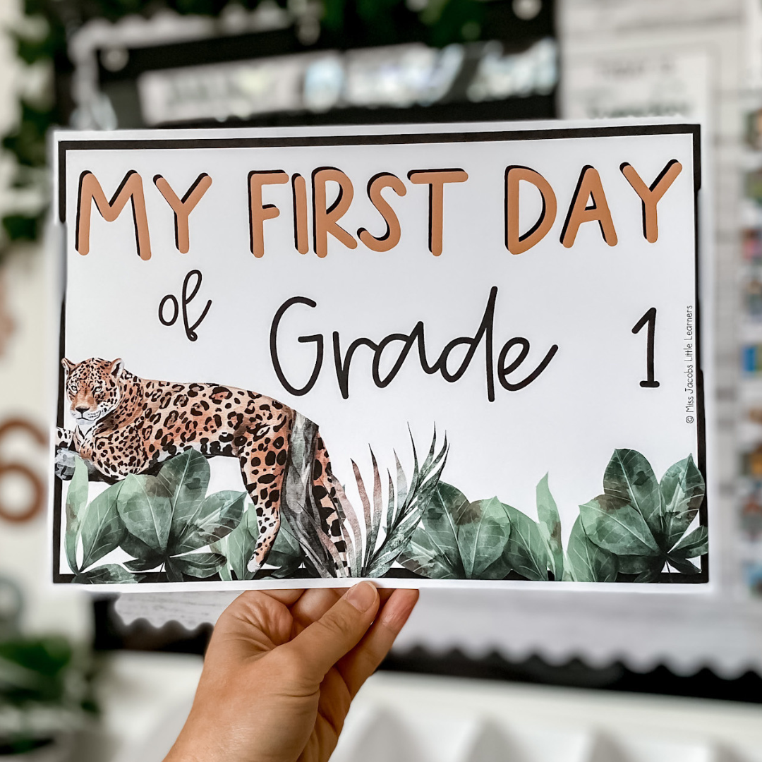 Safari Themed Classroom Decor Miss Jacobs Little Learners   Safari Classroom Decor 482635 