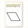 2D and 3D Shapes Posters - Daisy Gingham Pastels Math 