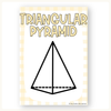2D and 3D Shapes Posters - Daisy Gingham Pastels Math 