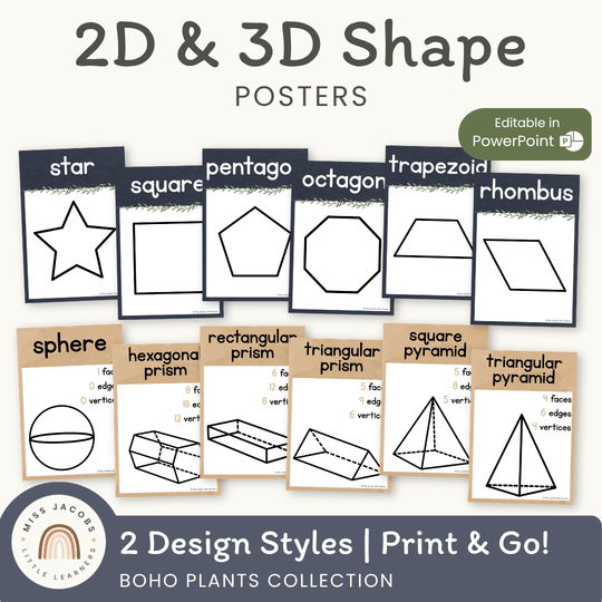 2D & 3D Shape Posters - Boho Plants Math Decor
