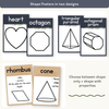 2D & 3D Shape Posters - Boho Plants Math Decor - Miss Jacobs Little Learners