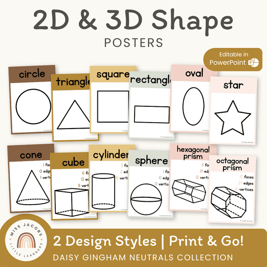 2D & 3D Shape Posters - Daisy Gingham Neutrals Math Decor