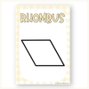 2D & 3D Shape Posters - Daisy Gingham Pastels Math Decor - Miss Jacobs Little Learners
