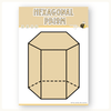 2D & 3D Shape Posters - Happy Hive Math Decor - Miss Jacobs Little Learners