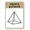 2D & 3D Shape Posters - Modern Botanical Math Decor - Miss Jacobs Little Learners