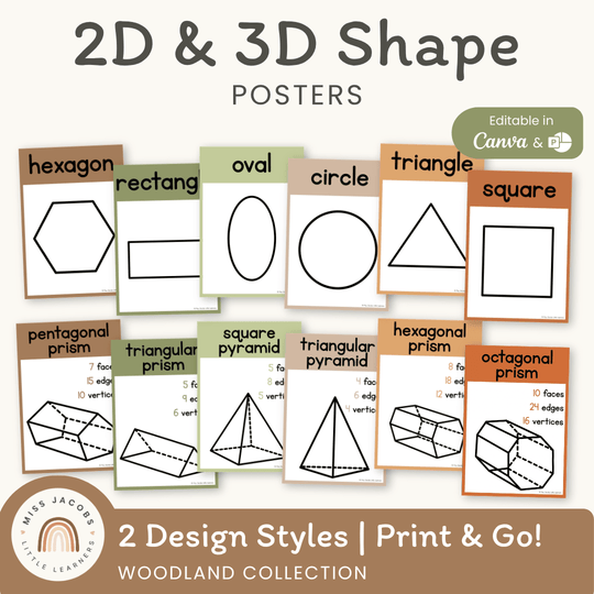 2D & 3D Shape Posters - Woodland Math Decor