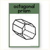 3D Objects Posters - Modern Botanical Classroom Decor - Miss Jacobs Little Learners