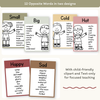 Antonym Posters - Australiana English Decor - Miss Jacobs Little Learners
