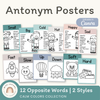 Antonym Posters - Calm Colors English Decor - Miss Jacobs Little Learners