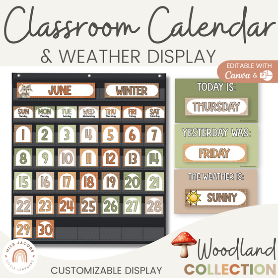 Calendar & Weather Display - Woodland Theme Classroom Decor - Miss Jacobs Little Learners