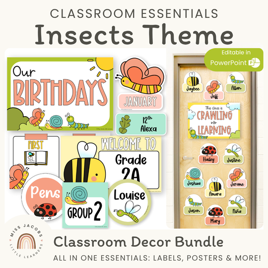 Insects Theme Classroom Essentials Decor Pack