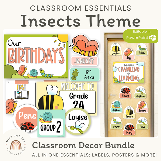 Insects Theme Classroom Essentials Decor Pack - Miss Jacobs Little Learners