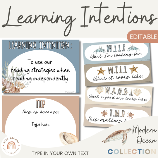 Learning Intention and Success Criteria Display - Modern Ocean