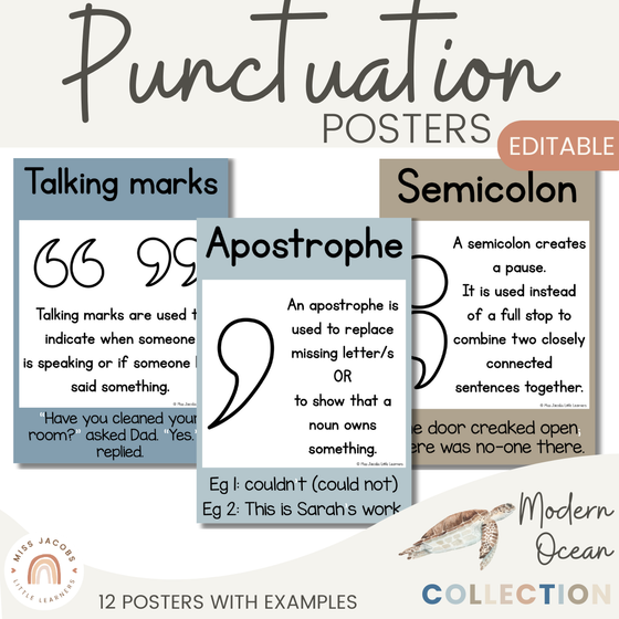 Modern Ocean Punctuation Posters - Miss Jacobs Little Learners