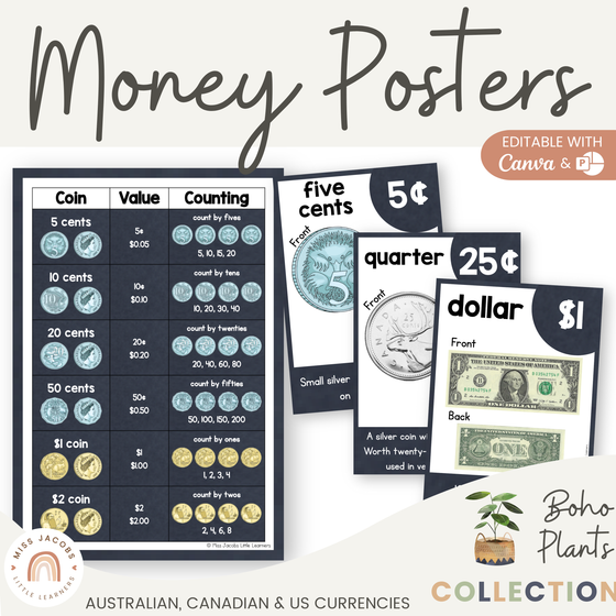 Money Posters - Boho Plants Theme Classroom Decor - Miss Jacobs Little Learners
