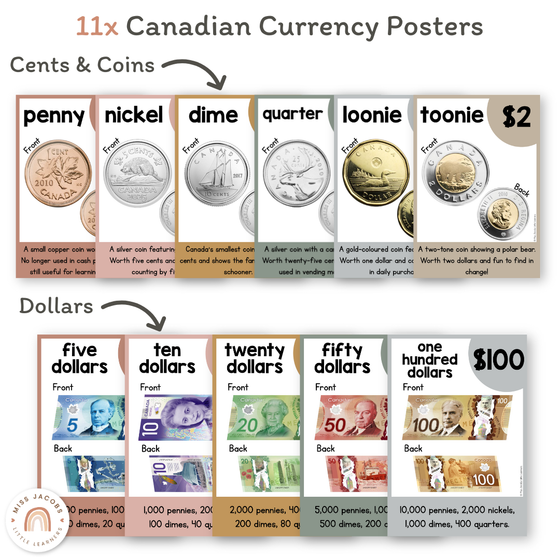 Money Posters - Boho Neutrals Theme Classroom Decor - Miss Jacobs Little Learners