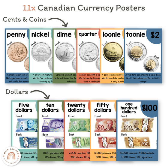 Money Posters - Cute Jungle Animals Classroom Decor - Miss Jacobs Little Learners