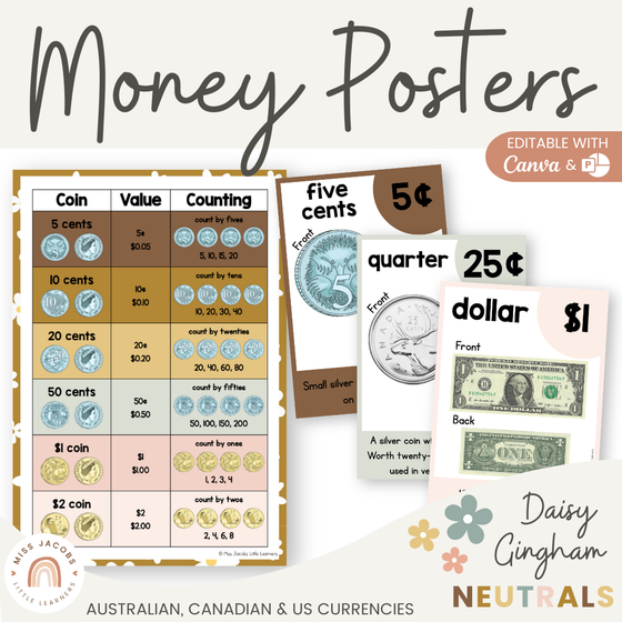 Money Posters - Daisy Gingham Neutrals Classroom Decor - Miss Jacobs Little Learners