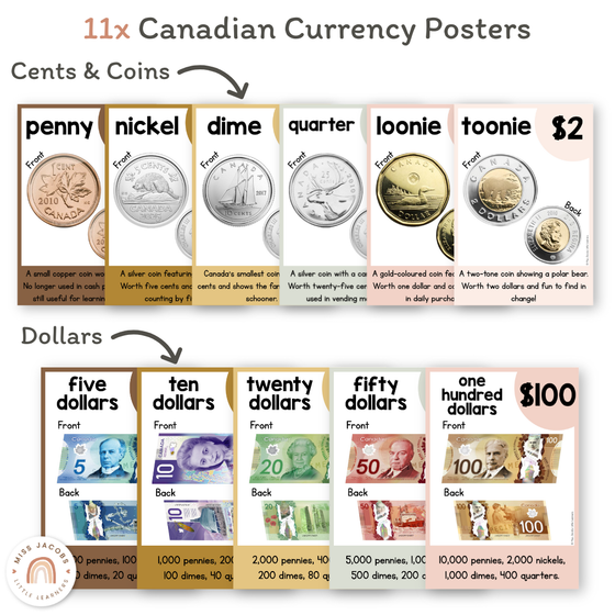 Money Posters - Daisy Gingham Neutrals Classroom Decor - Miss Jacobs Little Learners