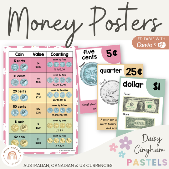 Money Posters - Daisy Gingham Pastels Theme Classroom Decor