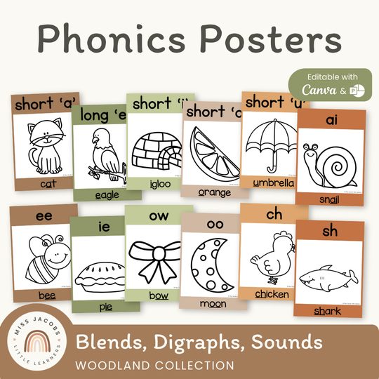 Phonics Posters - Woodland Theme Classroom Decor