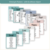 Synonym and Antonym Posters - Calm Colors English Decor - Miss Jacobs Little Learners