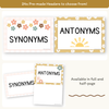 Synonym and Antonym Posters - Daisy Gingham Neutrals English Decor - Miss Jacobs Little Learners