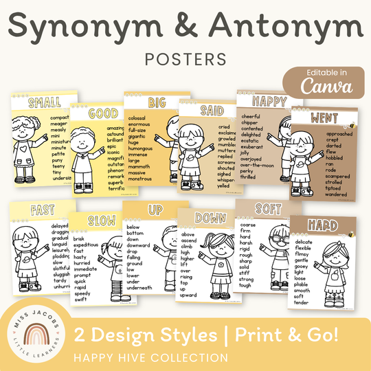Synonym and Antonym Posters - Happy Hive English Decor