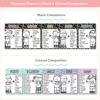 Synonym and Antonym Anchor Chart - Pastel Composition Notebook Math Decor - Miss Jacobs Little Learners