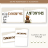 Synonym and Antonym Posters - Woodland English Decor - Miss Jacobs Little Learners
