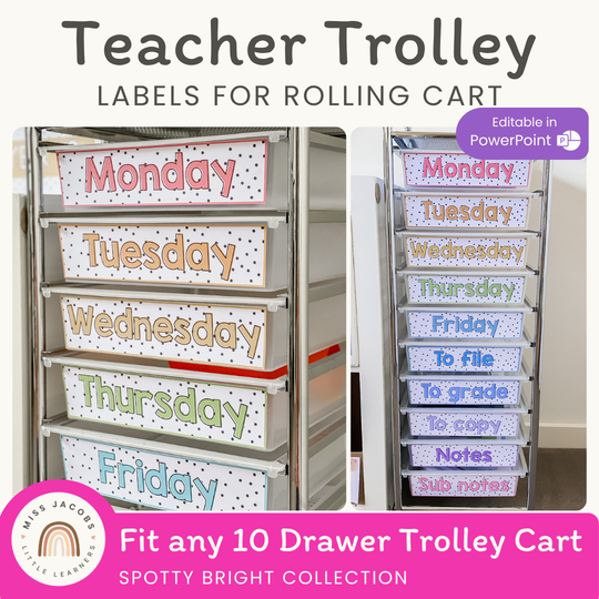 Teacher Trolley Labels for Rolling Cart - Spotty Bright Decor