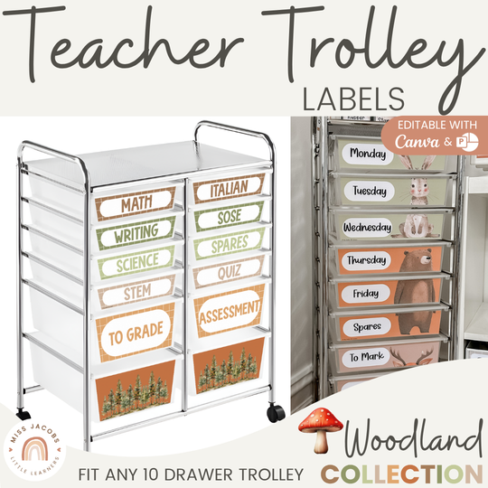Teacher Trolley Labels for Rolling Cart - Woodland Classroom Decor