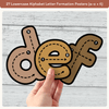 Alphabet Letter Formation Posters - Desert Neutrals Classroom Decor - Miss Jacobs Little Learners