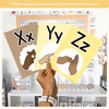 Alphabet Posters Bundle: English, ASL & Auslan - Happy Hive Classroom Decor - Miss Jacobs Little Learners