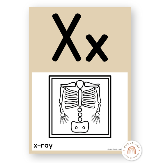 Alphabet Posters Natural Colors - Modern Botanical Decor - Miss Jacobs Little Learners