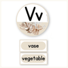 Alphabet Word Wall - Modern Ocean Classroom Decor - Miss Jacobs Little Learners