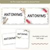 Antonym Posters - Australiana English Decor - Miss Jacobs Little Learners