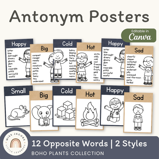 Antonym Posters - Boho Plants English Decor