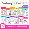 Antonym Posters - Bright English Decor - Miss Jacobs Little Learners