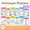 Antonym Posters - Cutesy Classroom English Decor - Miss Jacobs Little Learners