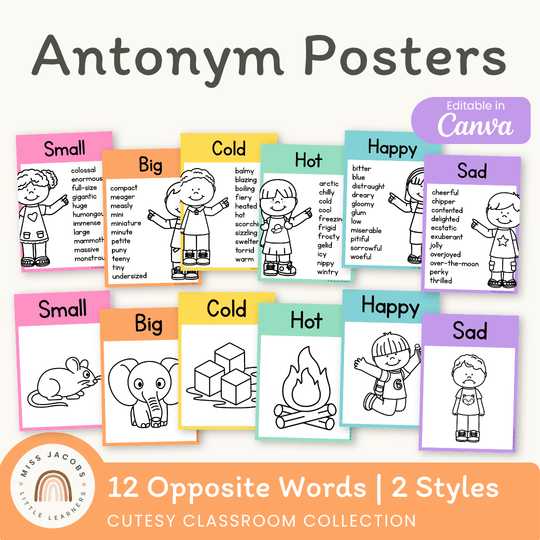 Antonym Posters - Cutesy Classroom English Decor