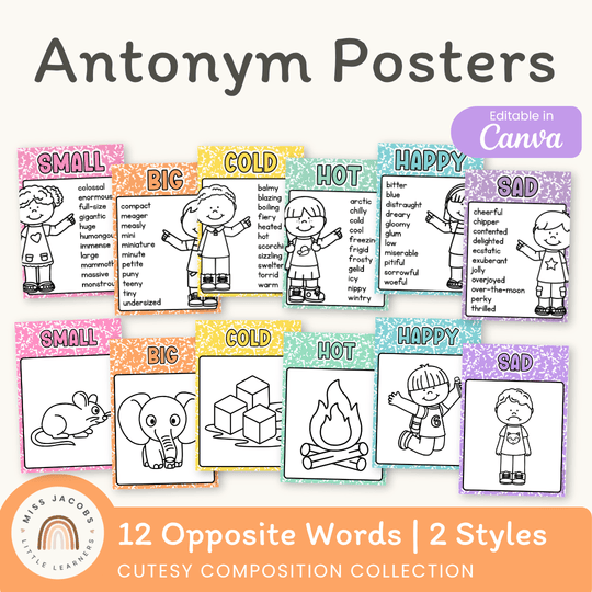 Antonym Posters - Cutesy Composition Notebook English Decor